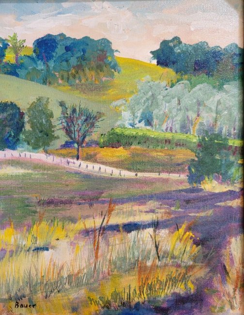 Fields off York Center Road