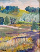 Fields off York Center Road