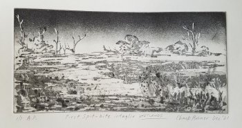 Wetlands First Spitbite Intaglio