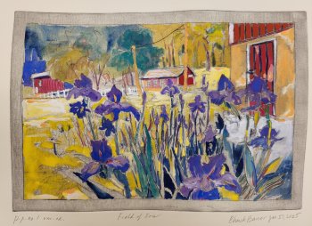 Field of Iris