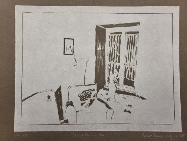 Cat in the Window (Grey cat)