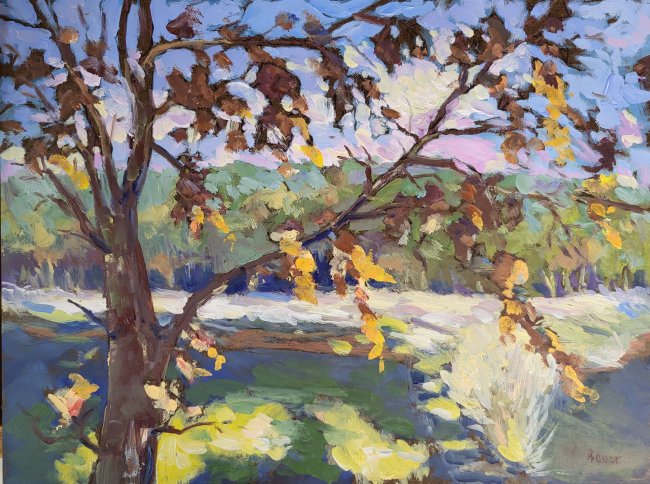 Grotto Oak in October