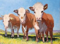 Three White-faced Herefords