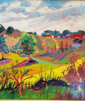 Wisconsin Dreamscape