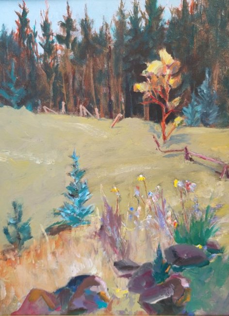 Blanchardville Hillside