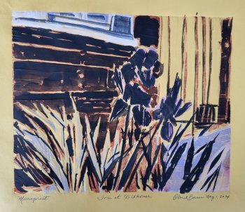 Iris at Milkhouse