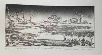 Wetlands Landscape