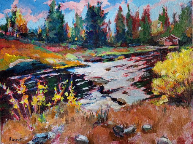 Cabin on Middle Branch Escanaba River, Michigan