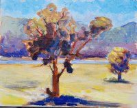 Oak and Decatur Lake, Three Waters Reserve