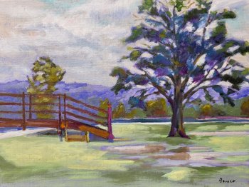 Oak in Rain Blanchardville Park