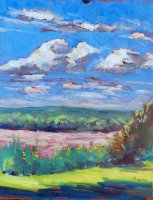 Clouds from Owen Park, 6021 Old Sauk Rd., Madison, WI