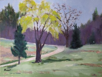 Parkland in Blanchardville, Wisconsin