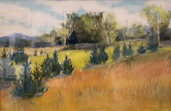 Rare Earth Farm Summer Fields with White Pines