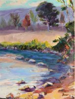 Pecatonica River Park 