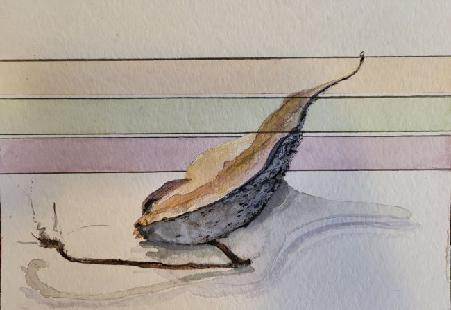 Pod and Three Stripes