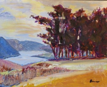 Point Reyes, California