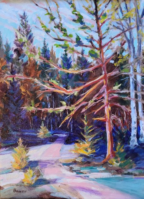 The Ridges Sanctuary, Bailey's Harbor, WI