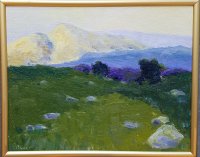 Rocky Mountain Meadow