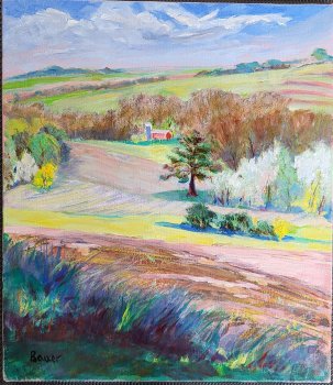 View from Sawmill Road Near Blanchardville