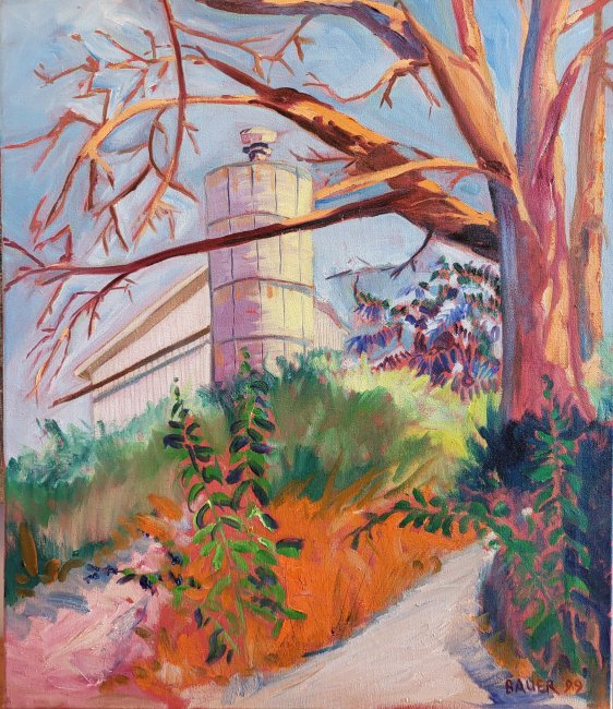 View of Silo from Woods, Verona