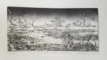 Wetlands