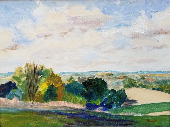 View from Sutter Road