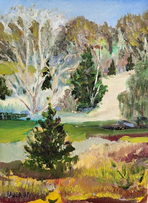 View Across Sawmill Creek