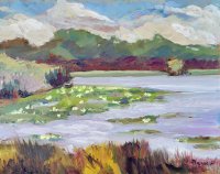 Warner Park No. 6 (Lotus blossoms July 24)