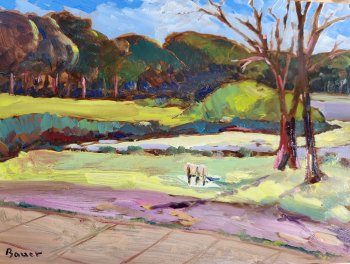 Warner Park No. 2 (with bench)