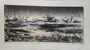 Wetlands Dusk