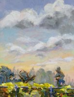 Sky at Wingra Park plein air