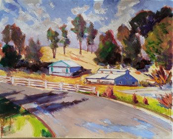 York Center Road Large Hen House and Shed