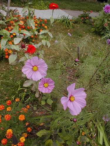 P1010053